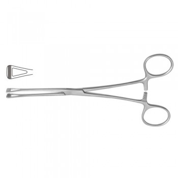 Scheibe (Collin) Atrauma Organ Grasping Forceps Medium Jaw Stainless Steel, 20.5 cm - 8"